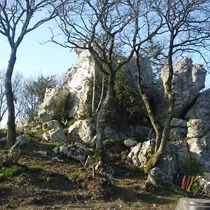 Le Rocher Du Samoyède Dirinon